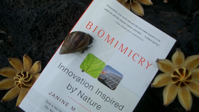 3789496_da9947fedd_k Foto do livro "Biomimicry" da pesquisadora Janine Benyus no chão em meio a flores e terra.