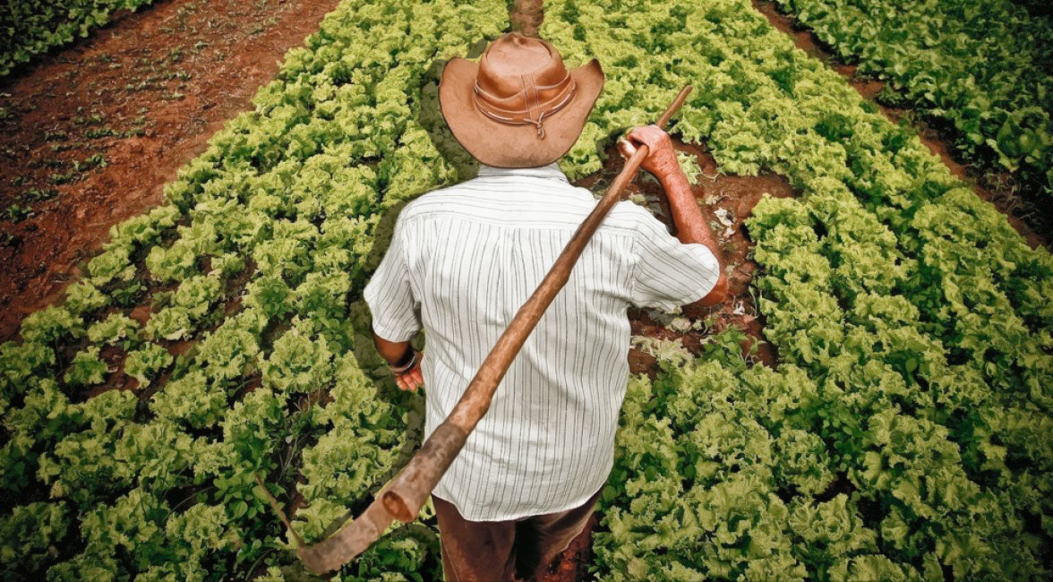 O protagonismo feminino na Agricultura Familiar e Economia do